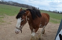 Kids_SharkarosaRanch-2013 (135)
